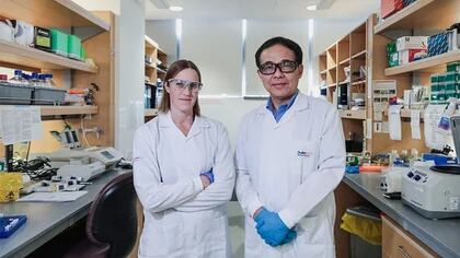 El doctor Wang con una colega en su laboratorio en Singapur (Univ. Duke)