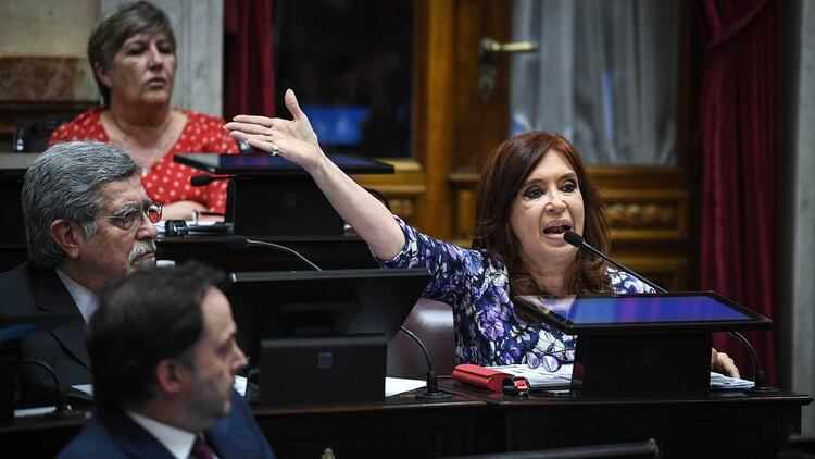 La vicepresidenta electa y futura presidenta del Senado, Cristina Kirchner (Charly Diaz Azcue / COMUNICACIÓN SENADO)