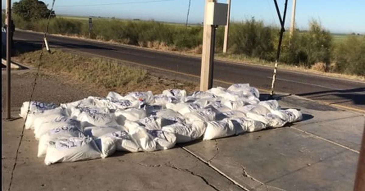 The army seized nearly 300 kilos of fentanyl and controlled drugs in Sinaloa