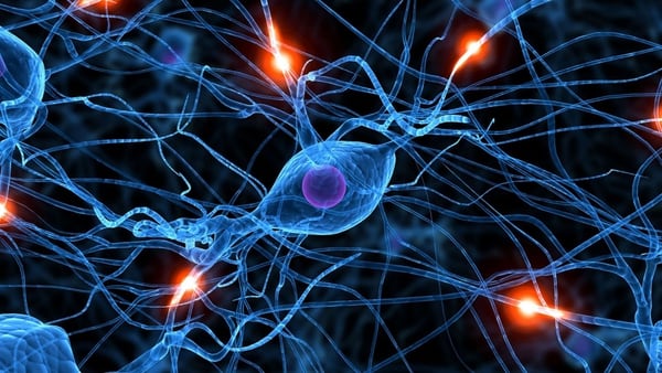 Resultado de imagen para La menor energía neuronal hace al cerebro más proclive a enfermar con la edad