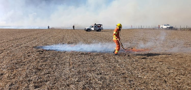 Con la ayuda de otros productores y dos dotaciones de bomberos, Gabriel De Raedemaecker logró controlar el incendio y apagarlo (Fotos: CRA)