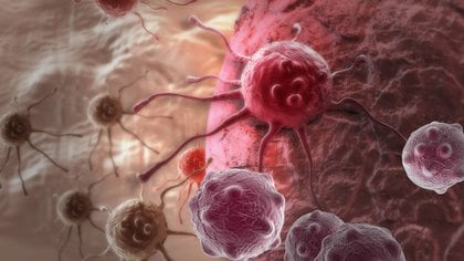 Crece el uso de las biopsias líquidas, una tecnología ultra sensible que con una simple muestra de sangre permite conocer la biología del tumor en ciertos tipos de cáncer (Shutterstock)