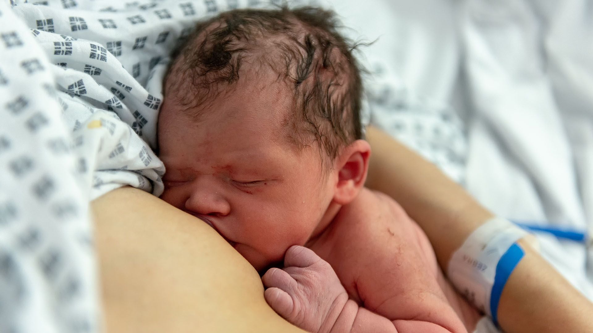Científicos descubren una grasa en la leche materna que ayuda al desarrollo del cerebro de los bebés prematuros