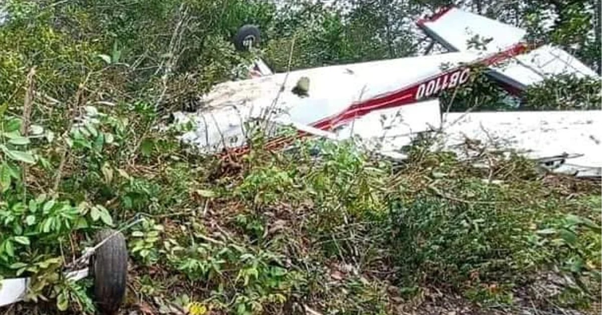 Plane crash in Loreto leaves one person slightly injured
