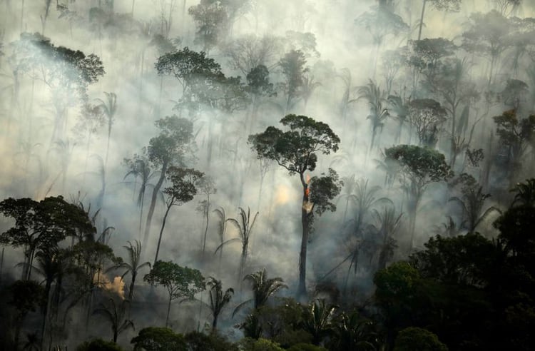 Humo de un incendio en una zona de la selva amazónica cerca de Porto Velho, Rondônia, Brasil. 10 de septiembre de 2019. REUTERS/Bruno Kelly.