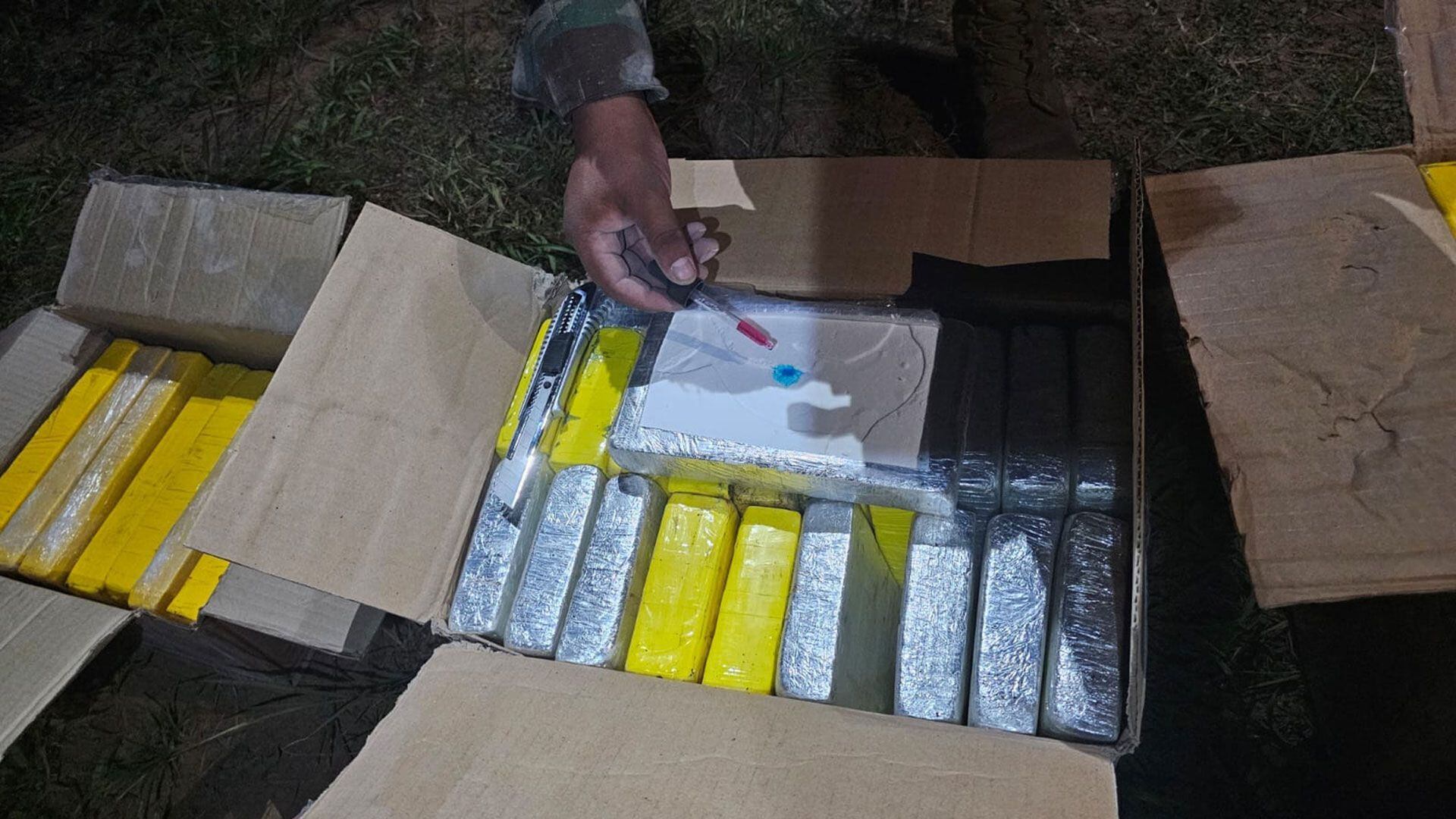 Cocaína incautada en Bolivia con forma del Delfín (FELC)