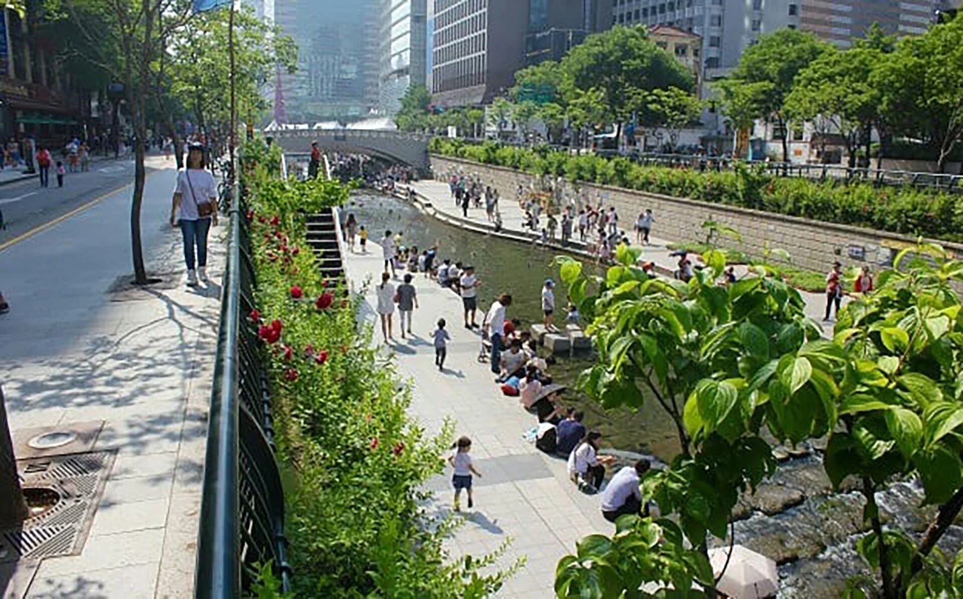 Una restauracin puede consistir en remover la losa y cobertura superior manteniendo la canalizacin artificial que haba debajo Es conocido el caso del arroyo Cheonggyecheon en Sel Corea del Sur un extremo casi soado en dos aos entre 2003 y 2005 regresaron a la superficie casi 6 km de este curso de agua desapareciendo una ruta y una autopista elevada que se haban construido sobre su curso Instagram arroyoslibres