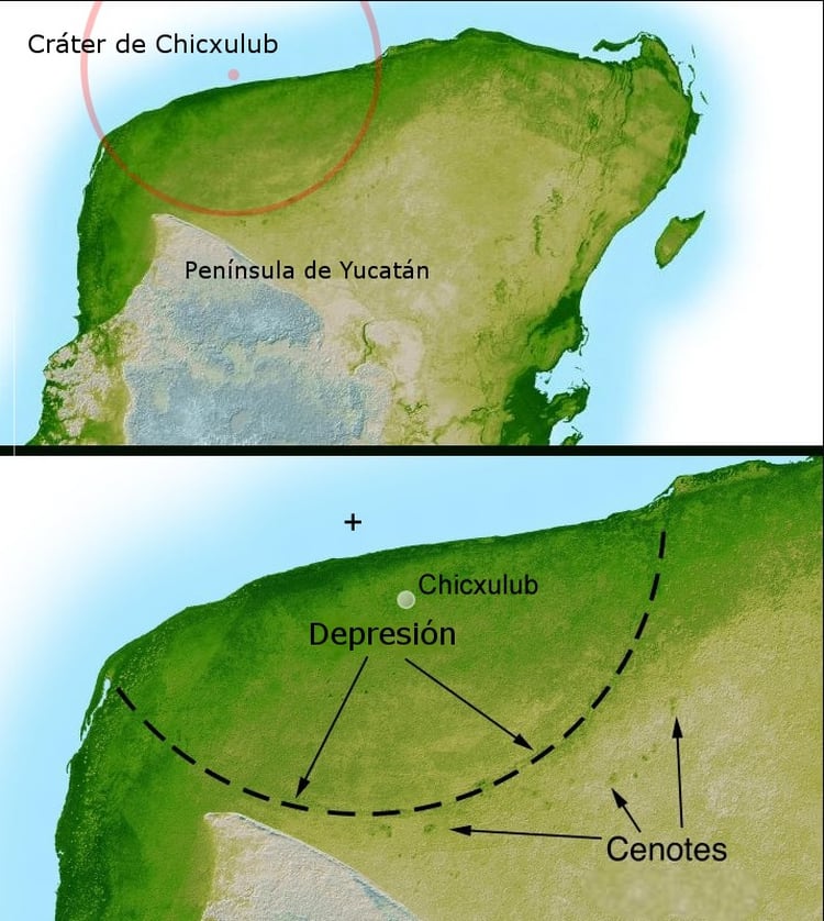 El área donde cayó el asteroide en Yucatán, México dejó el cráter de Chicxulub Foto: Wikipedia
