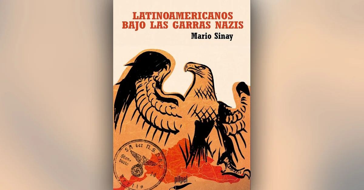 Latinoamericanos bajo las garras nazis: un libro saca de la oscuridad a  víctimas olvidadas del Tercer Reich - Infobae