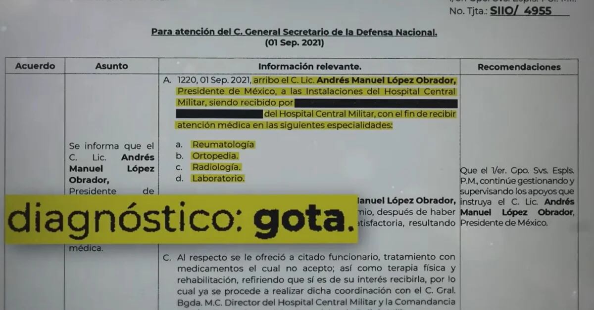 Hackeo a la Sedena: las enfermedades de AMLO que el gobierno trató de  ocultar - Infobae