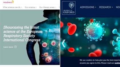 AstraZeneca y el Instituto Jenner de la Universidad de Oxford aún no informaron los detalles de la suspensión de los estudios