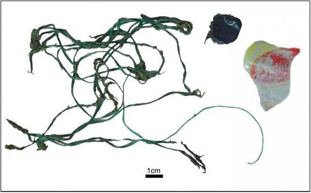 Plastic found inside a juvenile whale's digestive tract included nylon and plastic wrappers. Credit: L. Azugaray et. al