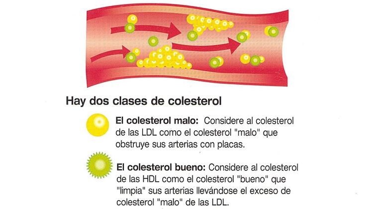 Gran avance de la ciencia: nueva esperanza contra el colesterol - Infobae