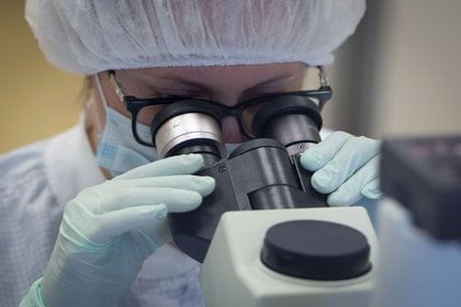 Un técnico de laboratorio utiliza un microscopio durante la producción de la vacuna COVID-19, desarrollada por el Centro Nacional de Investigación de Epidemiología y Microbiología de Gamaleya y el Fondo Ruso de Inversión Directa (RDIF). Foto Andrey Rudakov / Bloomberg