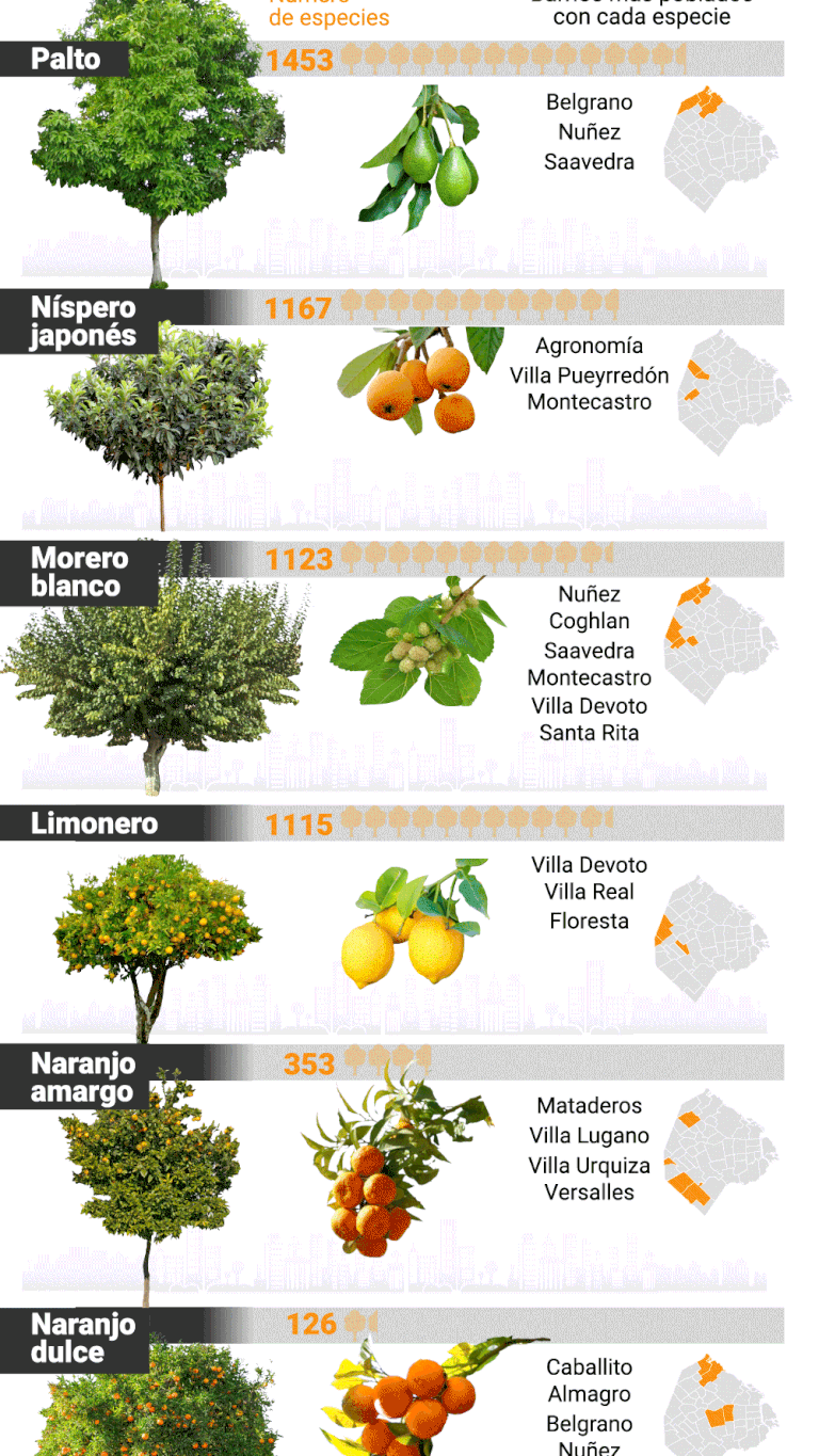 Conociendo los frutales de Buenos Aires