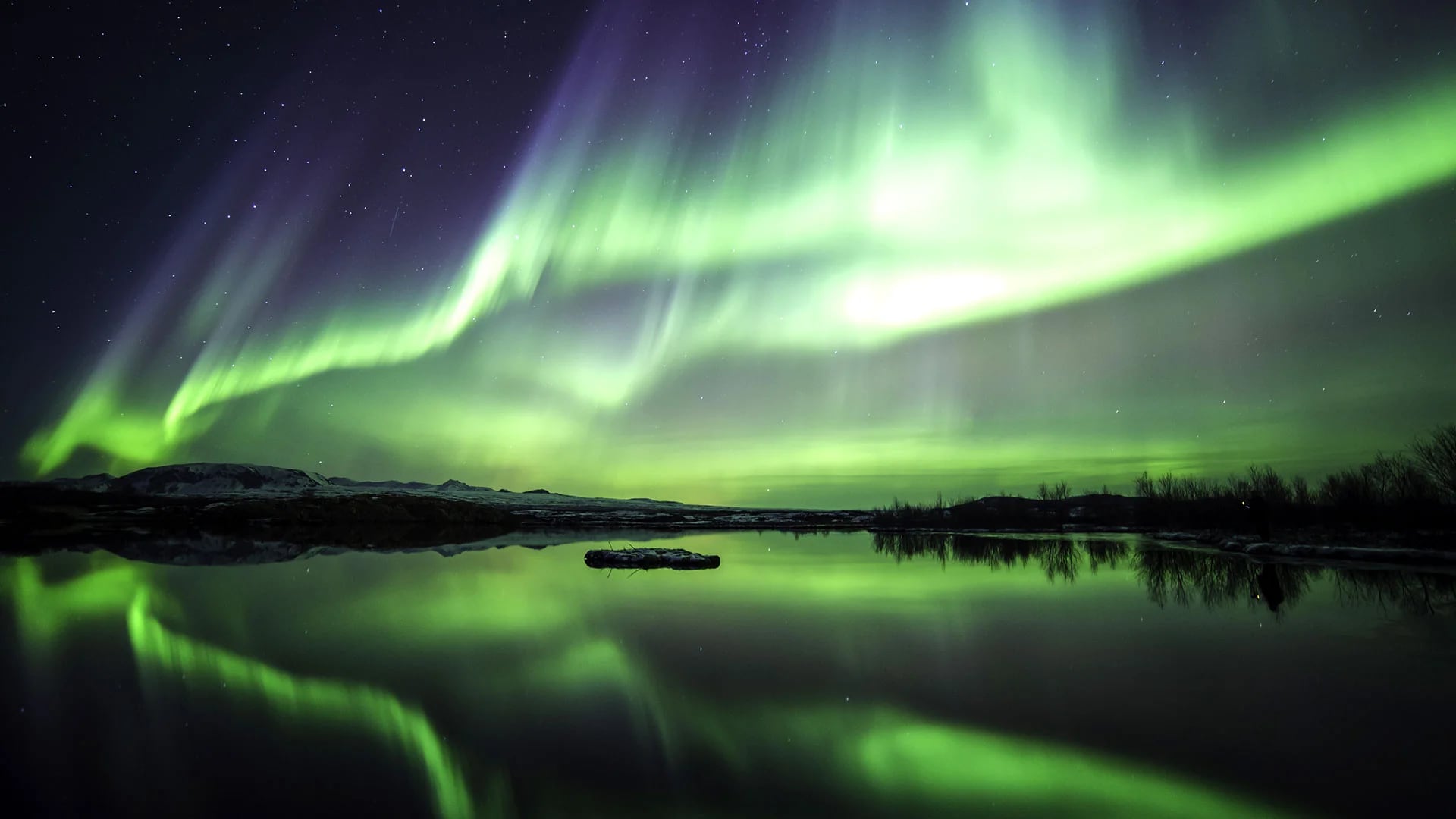 Aurora boreal en Islandia (Shutterstock)
