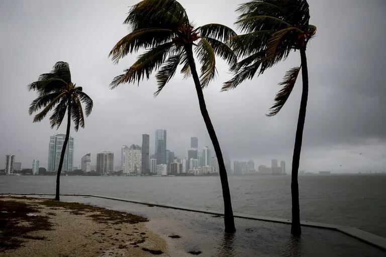 What to do in Miami when it rains