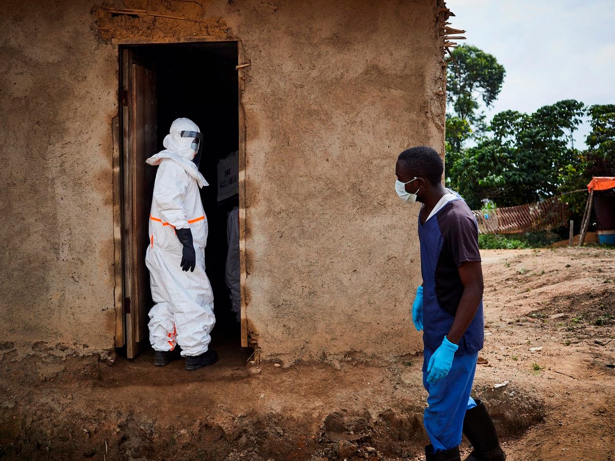 Detectaron dos casos de ébola en Guinea y hay temores sobre un nuevo brote  - Infobae