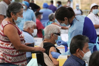La inoculación es gratuita y voluntaria (REUTERS/Iván Alvarado)