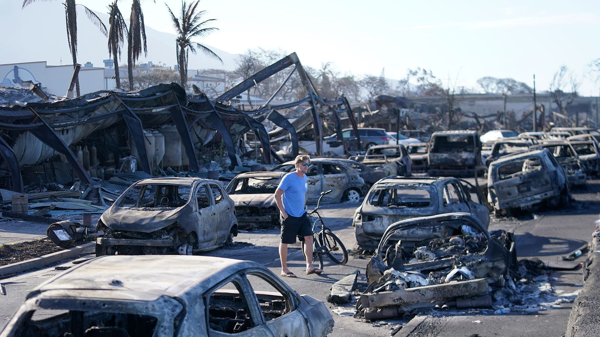 Las autoridades se plantean limitar el acceso a Lahaina durante todas las operaciones de búsqueda, por precaución ante posibles productos químicos, y por respeto a los muertos. (AP)