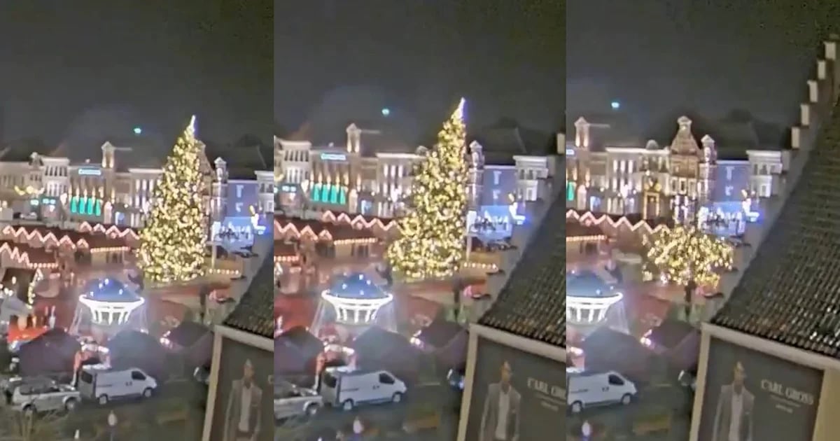 Tragedy in Belgium: Woman dies after giant Christmas tree collapses