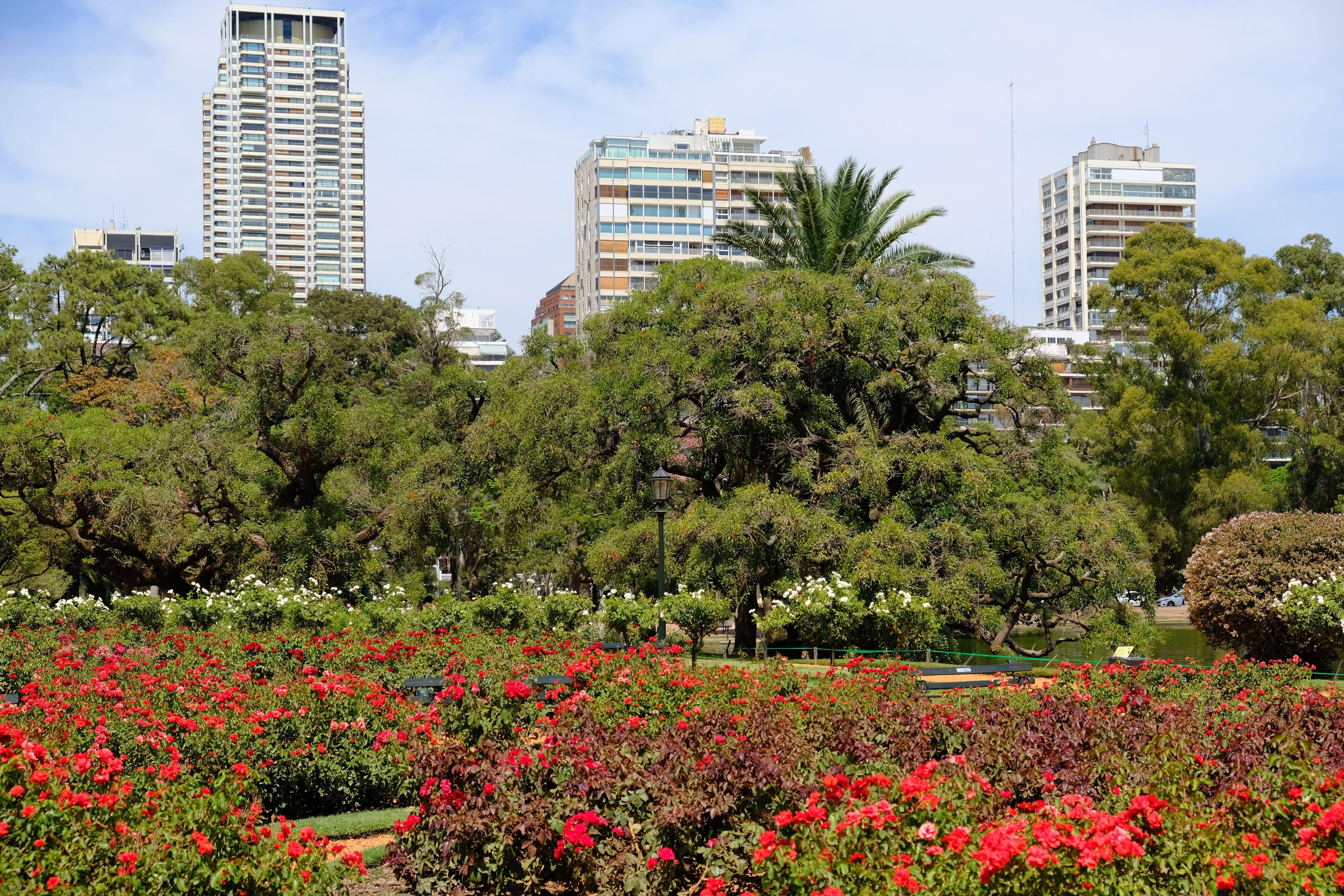 Alquileres Parques América Latina