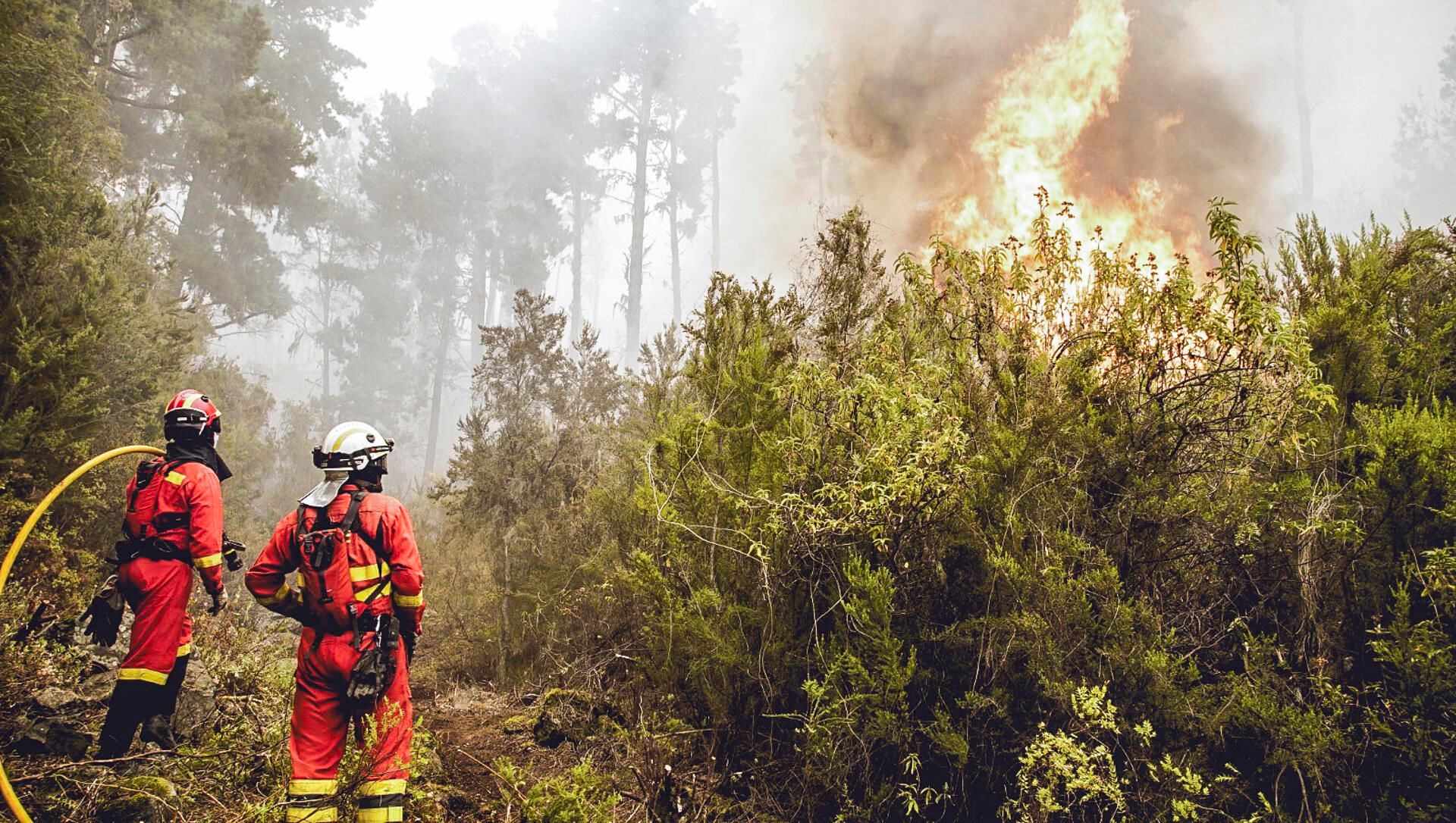 Efectivos de la UME en labores de extinción del incendio forestal que afecta a la isla de Tenerife, este sábado en las inmediaciones del municipio de Santa Úrsula. EFE/UME