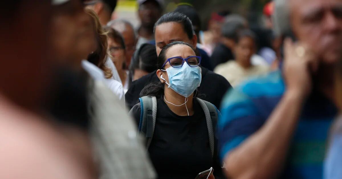 For PAHO, “the threat of the virus is still real”: what is the situation of the pandemic in the Americas