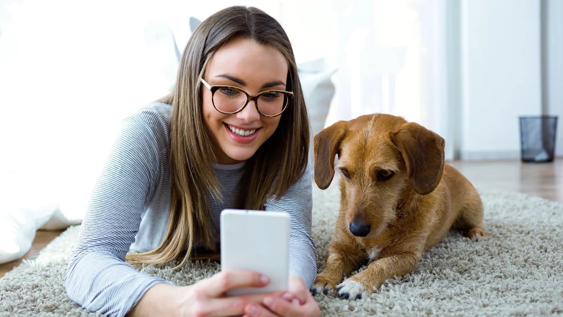Dog Hero ofrece a los usuarios poder vincularlos con anfitriones decididos a hospedar a las mascotas por una cifra diaria, una vez planeadas las vacaciones familiares (iStock)