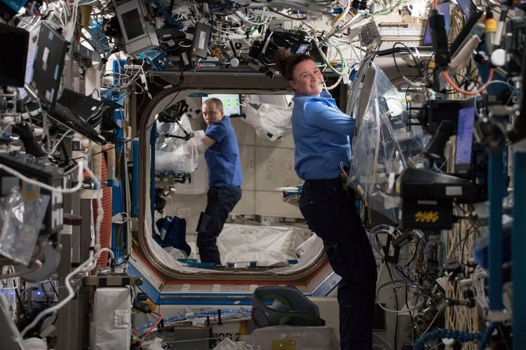 La astronauta de la NASA Serena Auñón-Chancellor realiza operaciones de investigación (Foto: NASA)