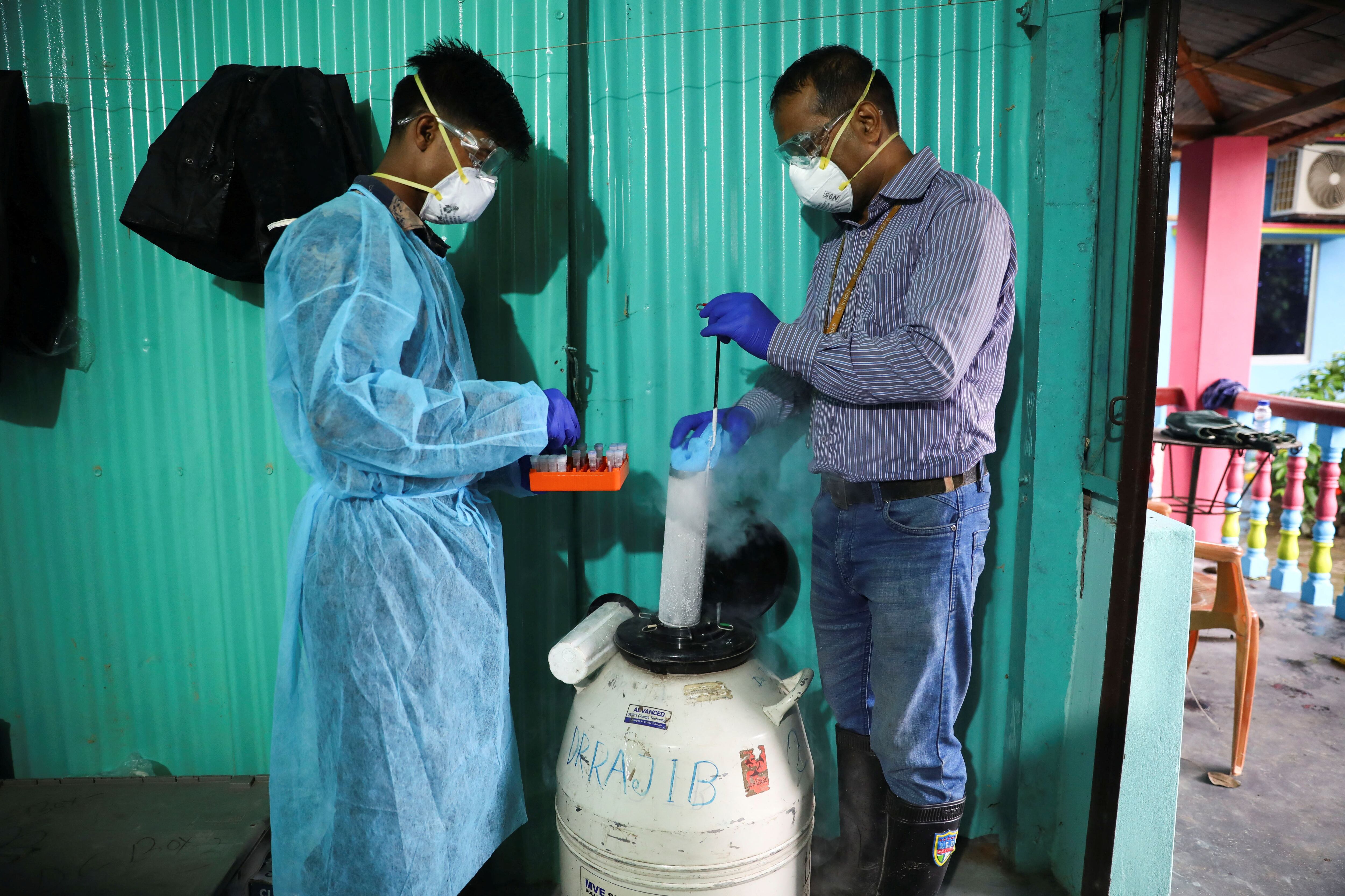 En Bangladesh, se producen brotes de Nipah todos los años. Las personas adquieran el virus por el consumo de savia contaminada de la palmera datilera (Reuters)
