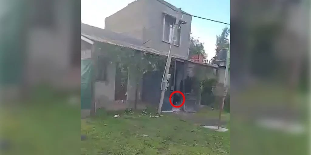 Video: un ladrón mató a un policía de la Bonaerense en un allanamiento en Pilar