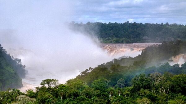 La selva misionera cobija atenta y diversa a las Cataratas del Iguazú (Fotos NA)