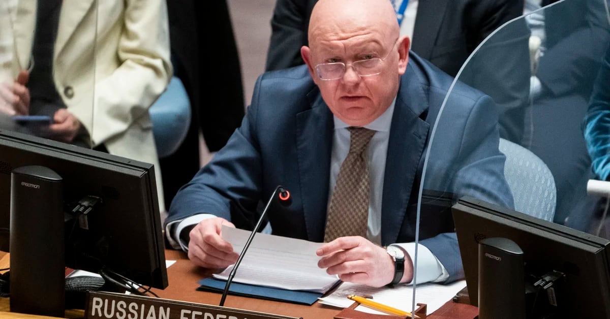 Russian envoy to UN: West determined to destroy Russia
