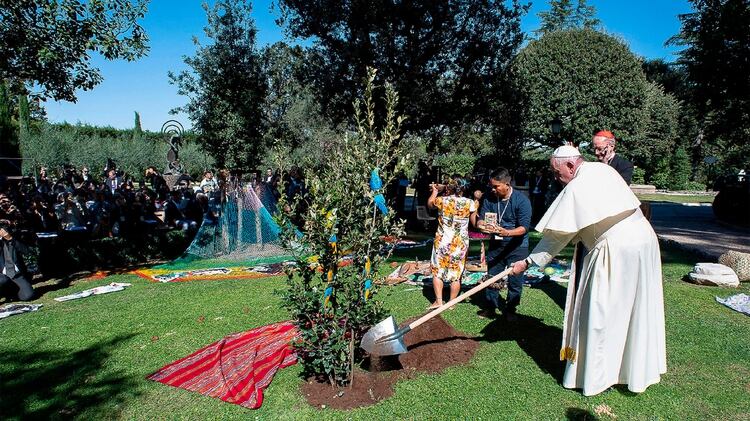 El papa Francisco plantando un árbol en una ceremonia previa al sínodo que se celebró el sábado. (Photo by HO / VATICAN MEDIA / AFP) 
