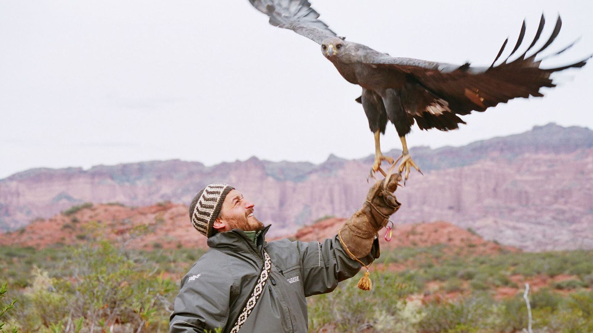 “Héroes de la conservación”, serie emitida por National Geographic, cuenta con la narración de Ricardo Darín y refleja la acción de quienes conservan especies en extinción