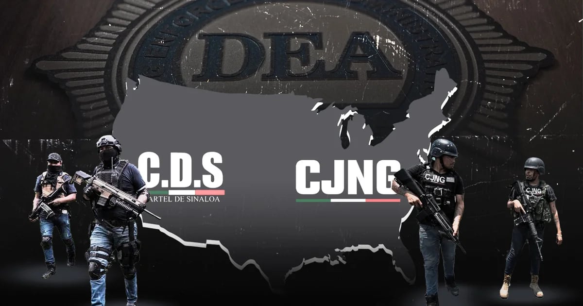 Which gang is benefiting from the DEA’s battle with the Sinaloa Cartel and the CJNG