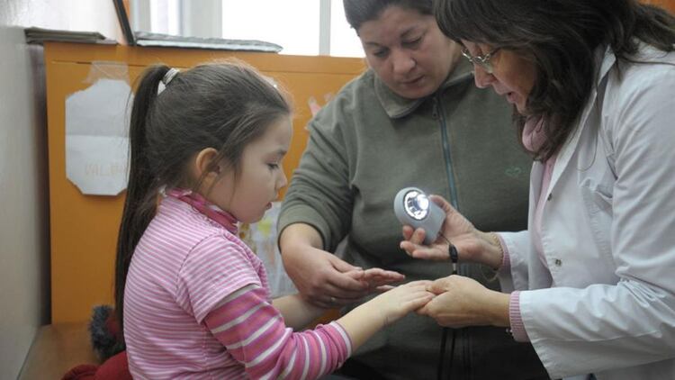 El 18,6% de los porteÃ±os se atiende en hospitales pÃºblicos