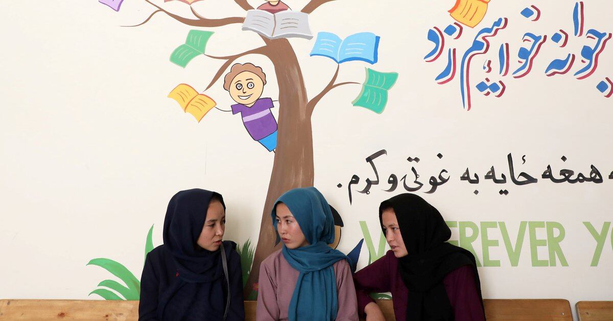 Gender racism: The Taliban allowed women to go to university, but separated from men