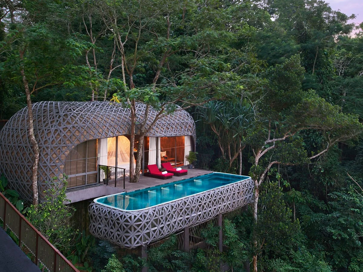 7 hoteles de lujo para dormir en la copa de los árboles - Infobae