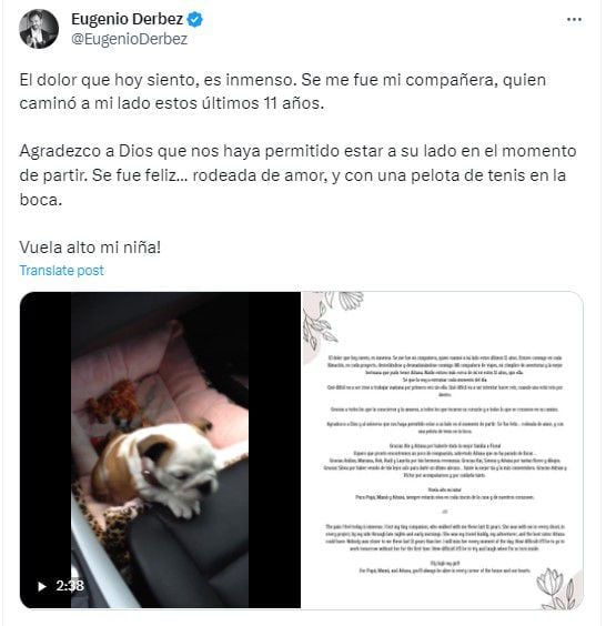 Eugenio Derbez despidió a su fiel compañera Fiona: “Vuela alto mi niña” -  Infobae