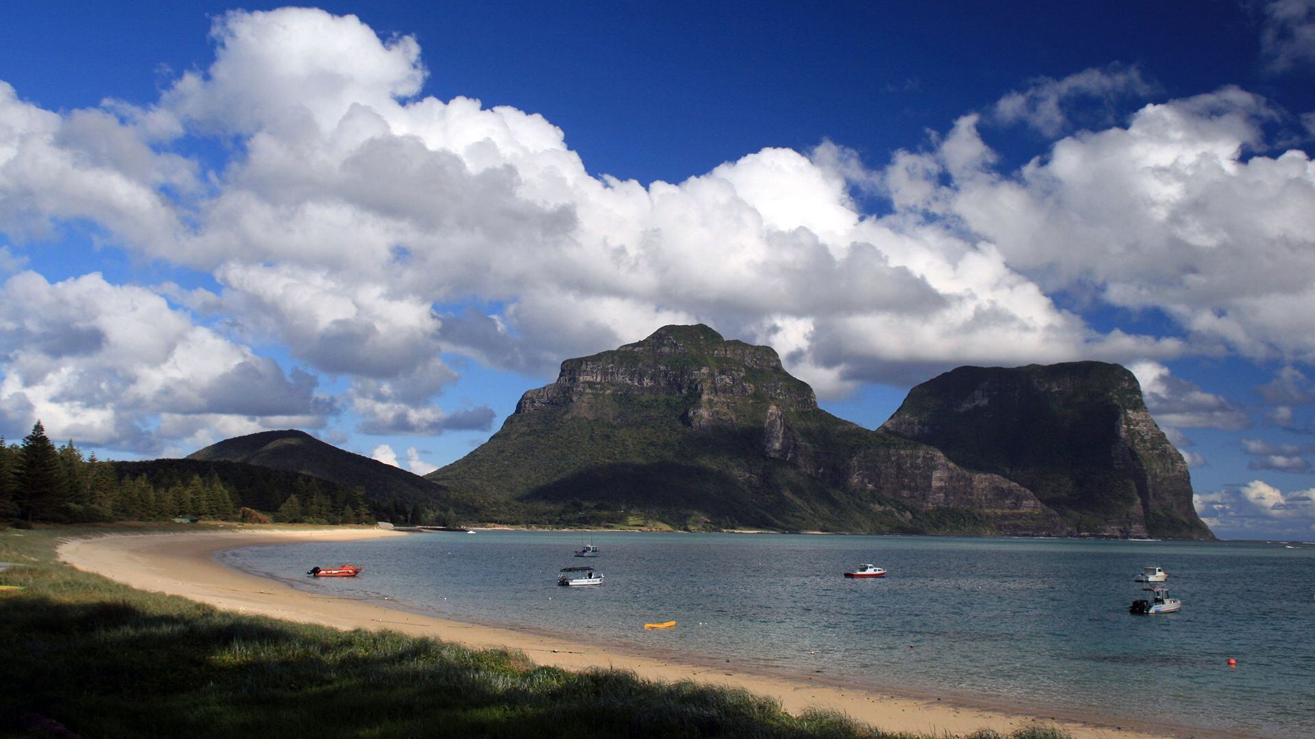 La isla de Lord Howe donde fueron estudiadas las aves fardelas