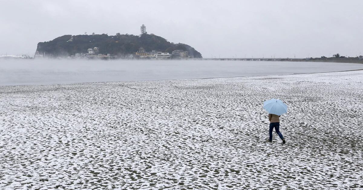 Las 10 Mejores Postales De Un Día Inusual En Tokio Por Primera Vez En 54 Años Nevó En Noviembre 