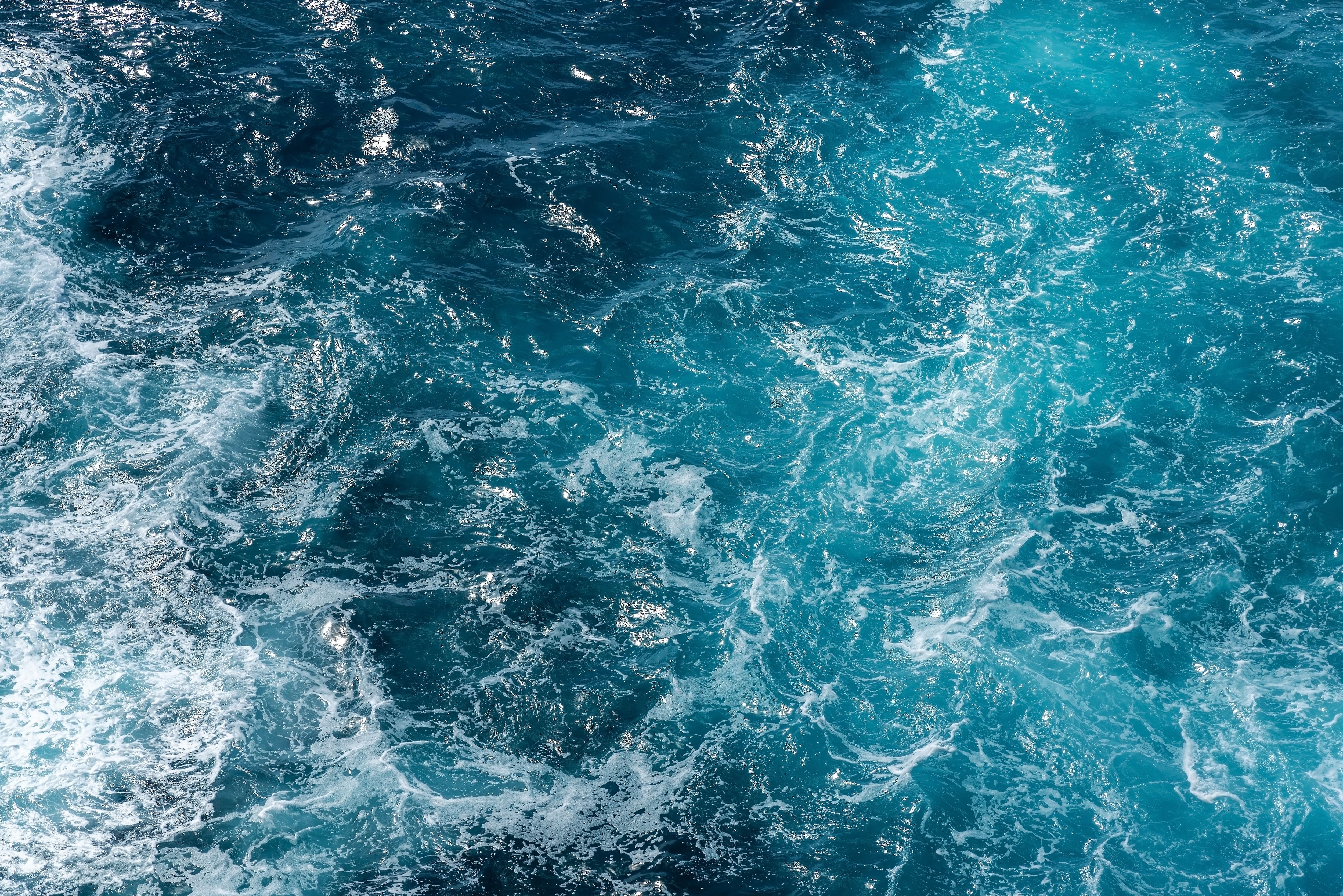 Con el nivel del mar en aumento, las entradas de agua salada amenazan ecosistemas sensibles, desde microorganismos hasta manglares y corales
(Getty Images)