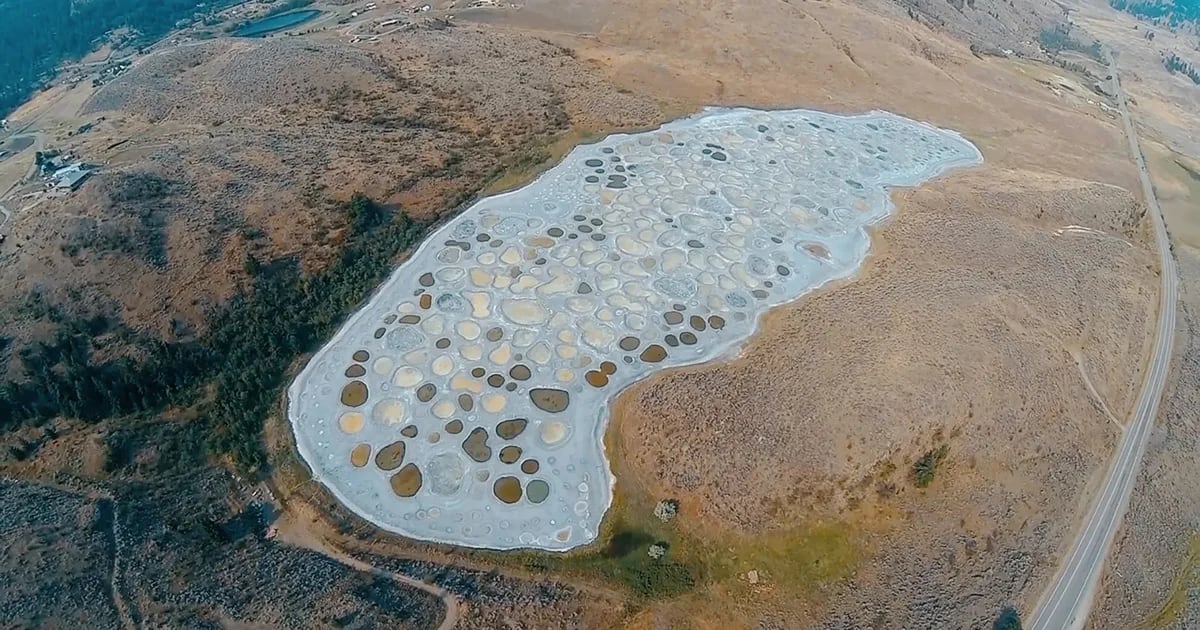 A lake in Canada may hold clues to the true origins of life