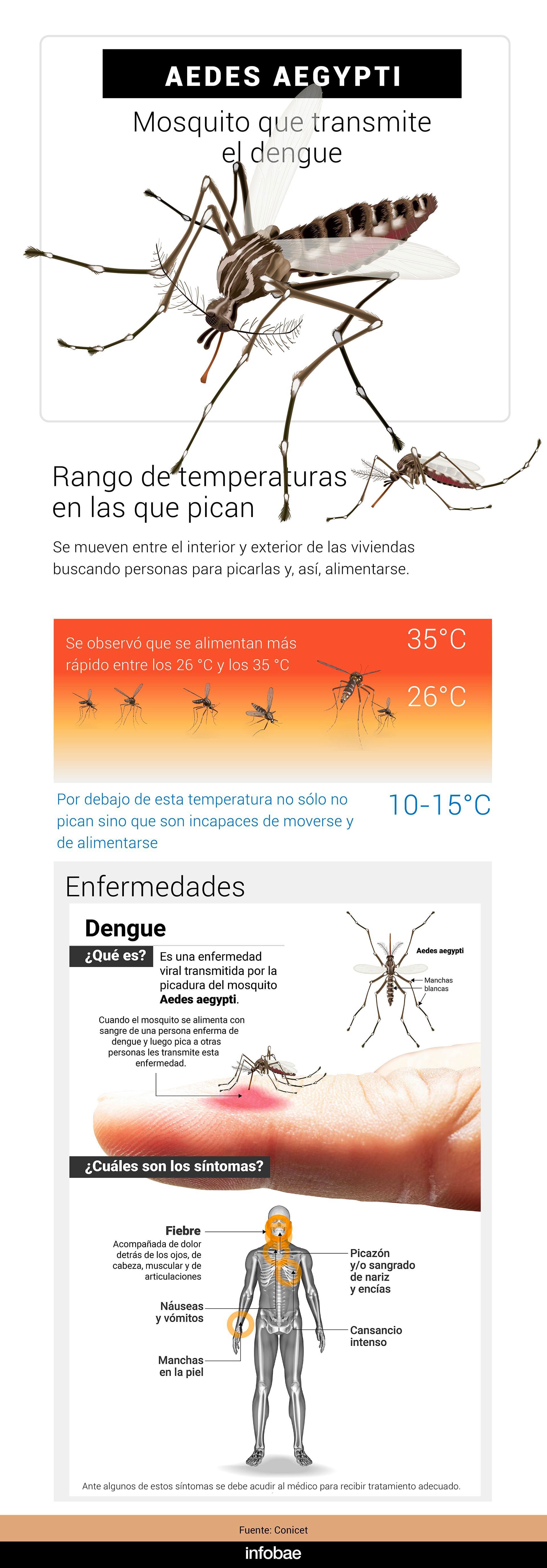 infografia