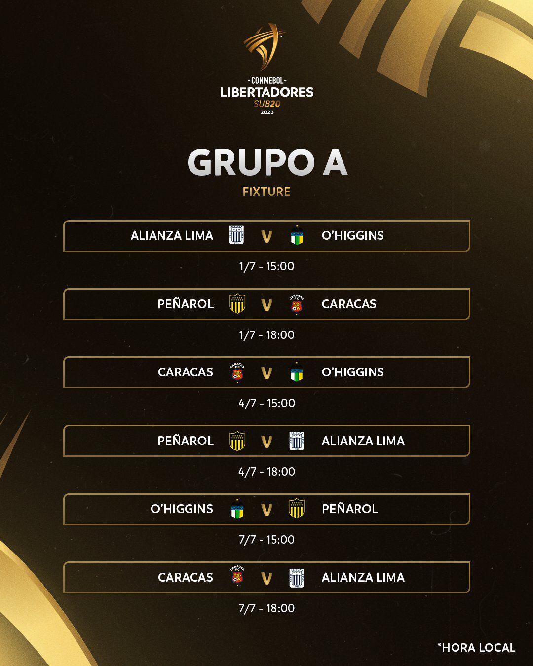 Alianza Lima participará en el grupo A de la Copa Libertadores sub 20. Sus rivales serán Peñarol, Caracas y O'Higgins. Su debut será el 1 de julio. (Conmebol Libertadores sub 20)