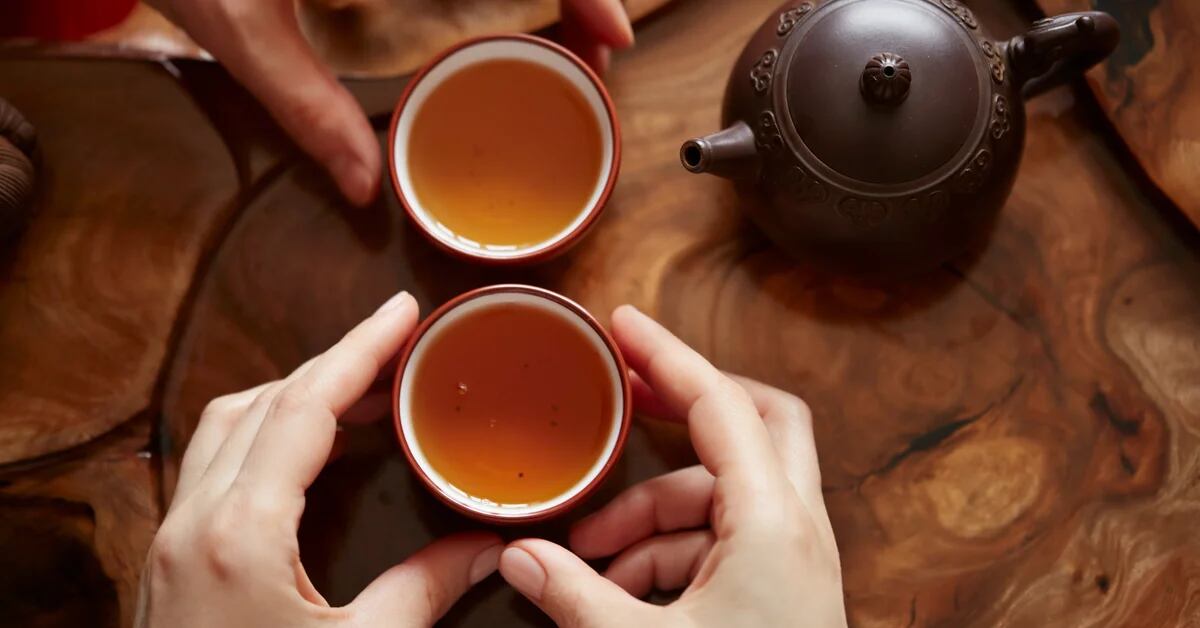 Día Internacional del Té: los orígenes y la evolución de la bebida más  popular del mundo - Infobae