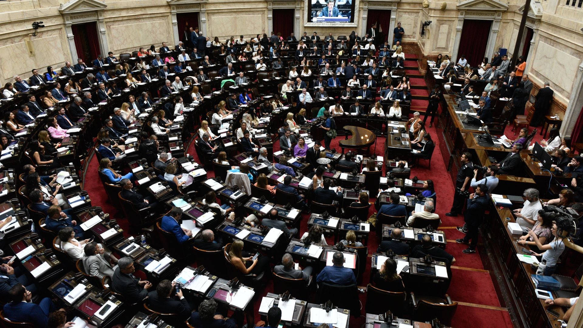 Debate de la Ley Ómnibus en el Congreso interior portada AE