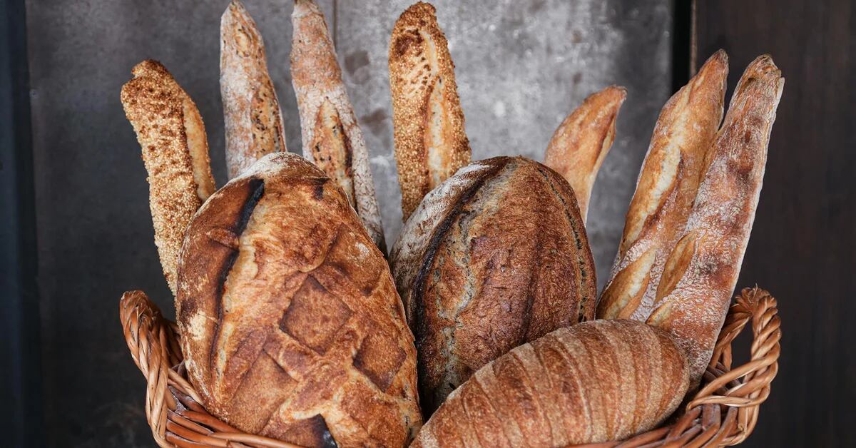 What are the healthiest breads?